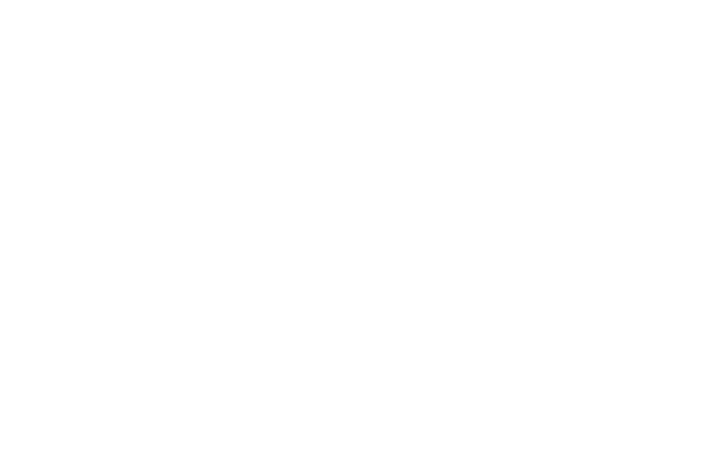 OFFICIAL SELECTION WIFF Film Festival 2024 2 Cooperativa Digital
