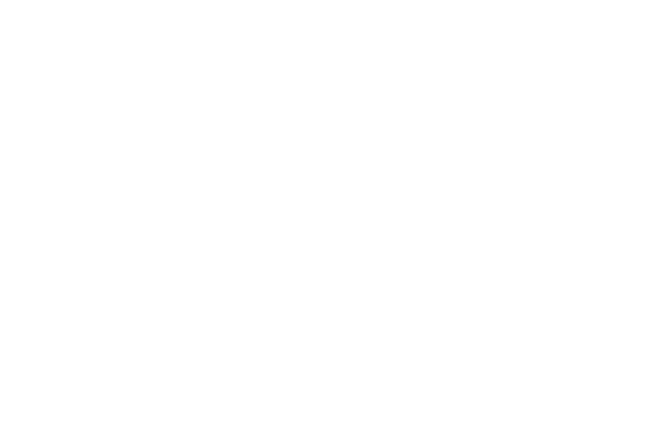 Cartaz com laurels 0062 OFFICIAL SELECTION Fortean Film Festival 2024 2 Cooperativa Digital