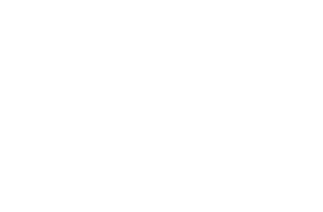 Cartaz com laurels 0065 OFFICIAL SELECTION Bridge Fest 2024 2 Cooperativa Digital