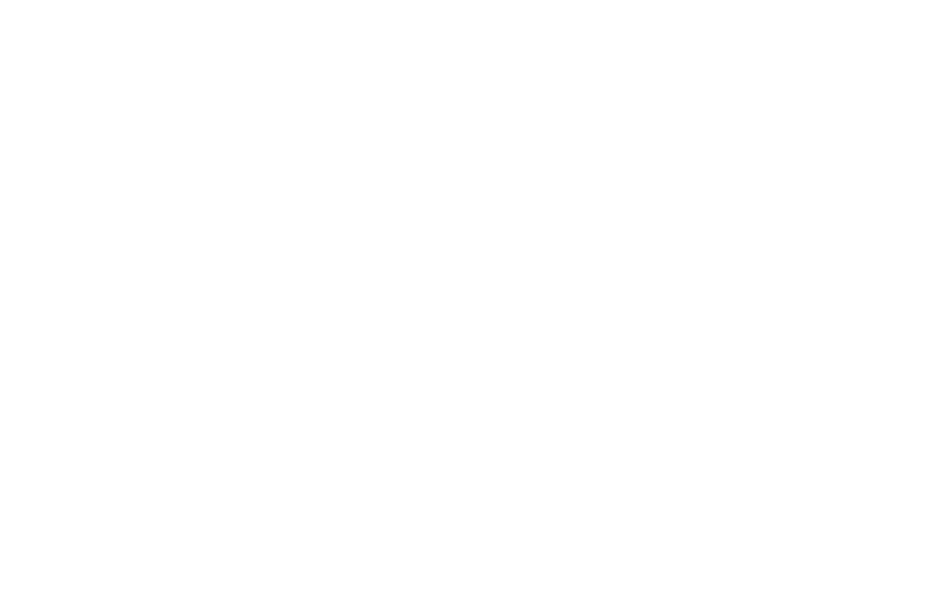 AWARD WINNER MegaFlix Film Awards 2024 2 Cooperativa Digital