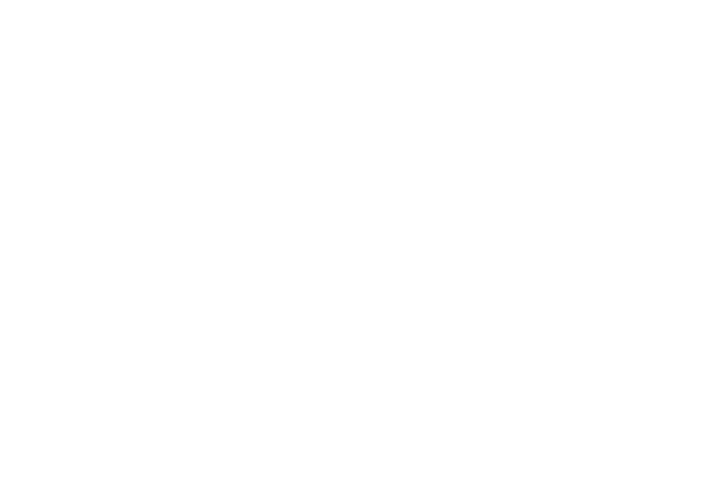 OFFICIAL SELECTION SEOUL EXTREME FILM FESTIVAL 2024 2 Cooperativa Digital